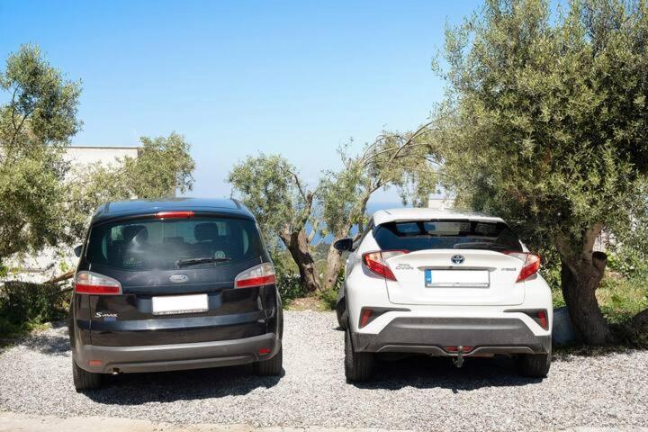 Villas Goudis Tsoukaládhes Dış mekan fotoğraf